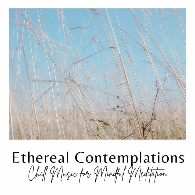 Ethereal Contemplations: Chill Music for Mindful Meditation - Ethereal Notes