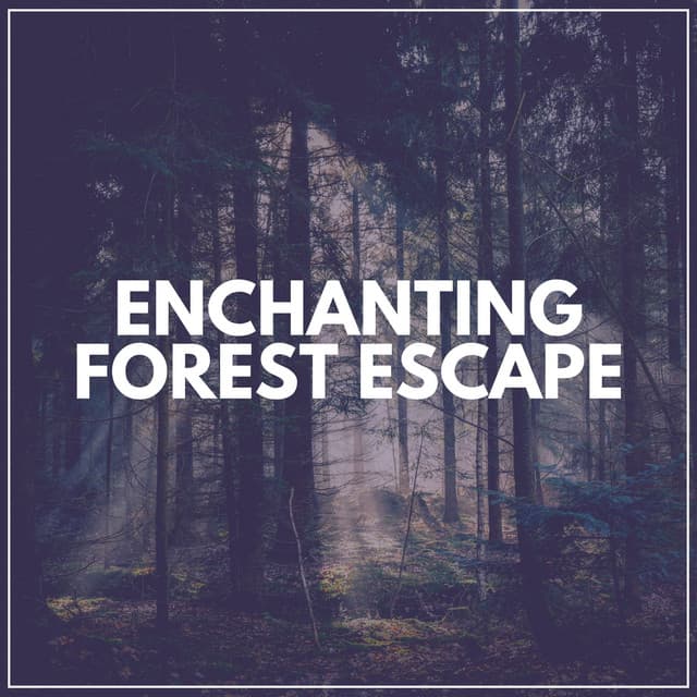 Enchanting Forest Escape - Worldwide Nature Studios