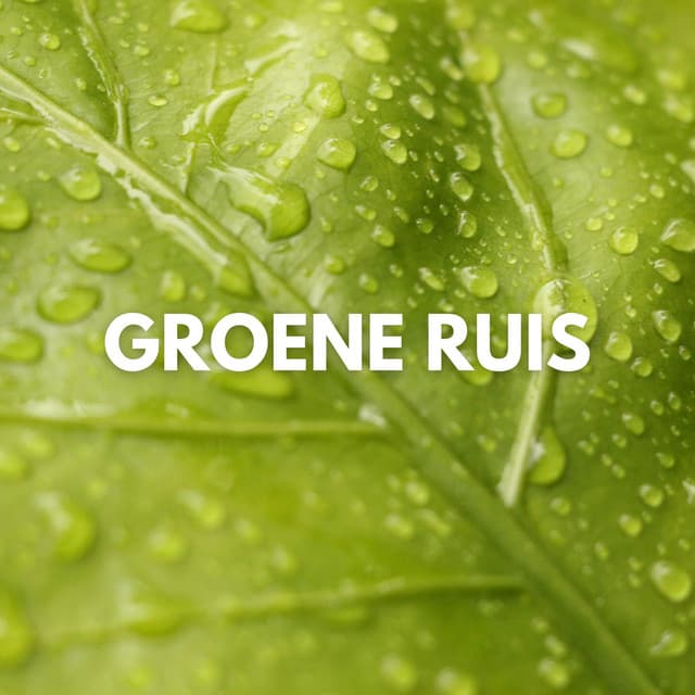 Groene Ruis - Witte Ruis om te Slaapen