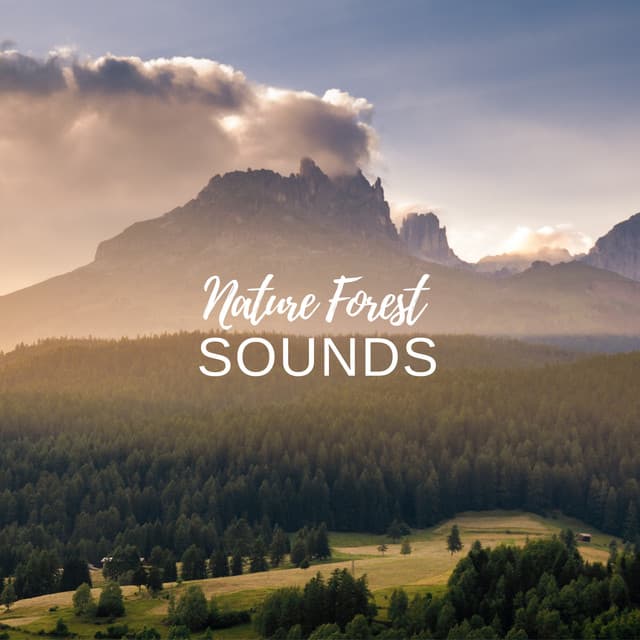 Nature Forest Sounds - Natural Sample Makers