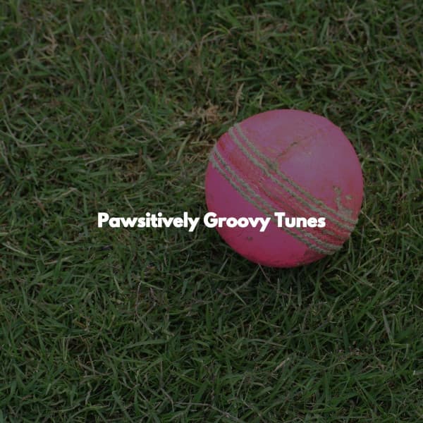 Pawsitively Groovy Tunes - Classic Jazz