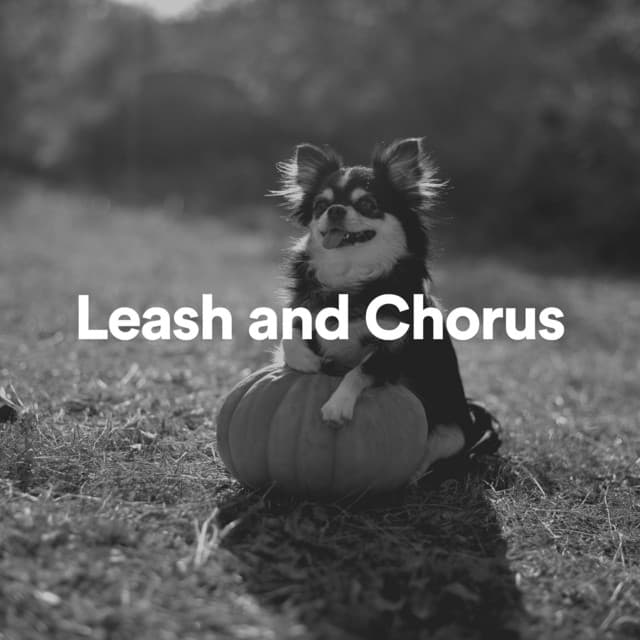 Leash and Chorus - Dog Music
