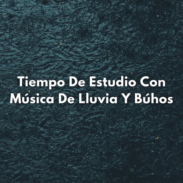 Tiempo De Estudio Con Música De Lluvia Y Búhos - HD lluvia y agua