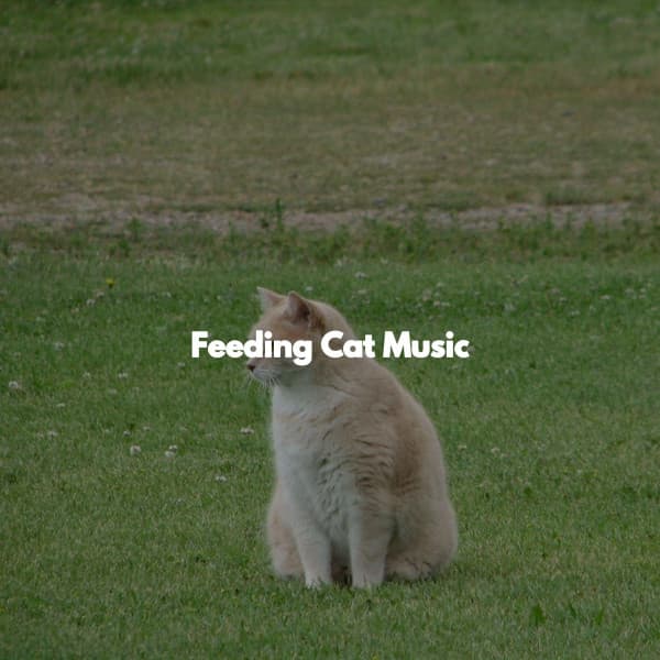 Feeding Cat Music - Night Time Jazz Culture