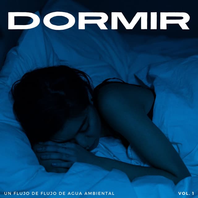 Dormir: Un Flujo De Flujo De Agua Ambiental Vol. 1 - Música para Dormir Con Relajantes Sonidos de la Naturaleza