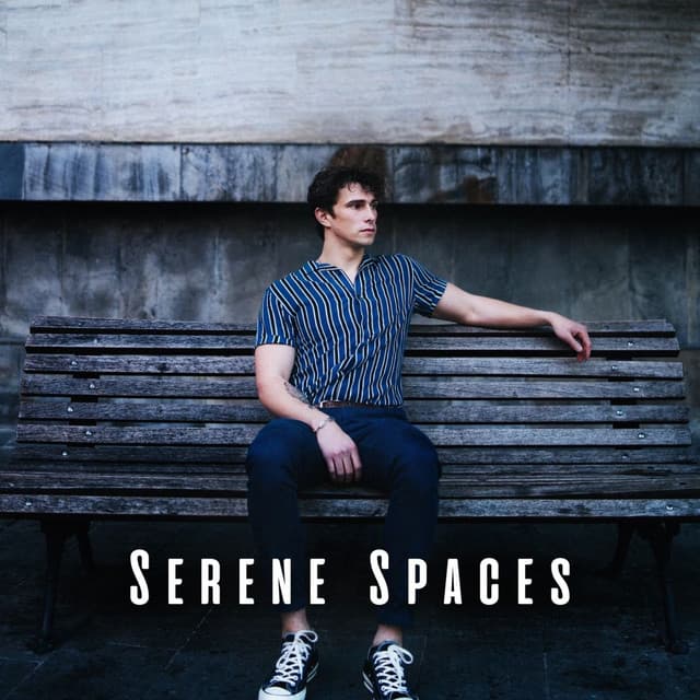 Serene Spaces: Ambient Music for Relaxation - Nighttime Relaxation Melodies