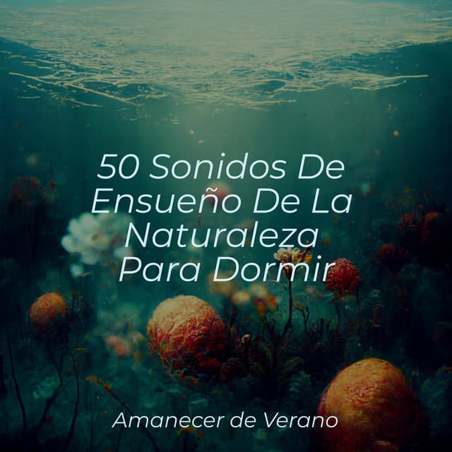 50 Sonidos De Ensueño De La Naturaleza Para Dormir - El hada de las canciones de cuna