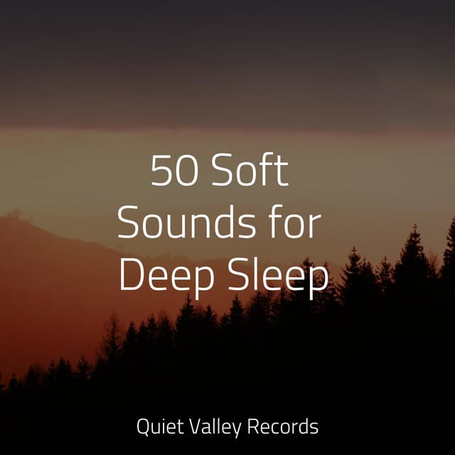 50 Soft Sounds for Deep Sleep - Rain Sound Studio