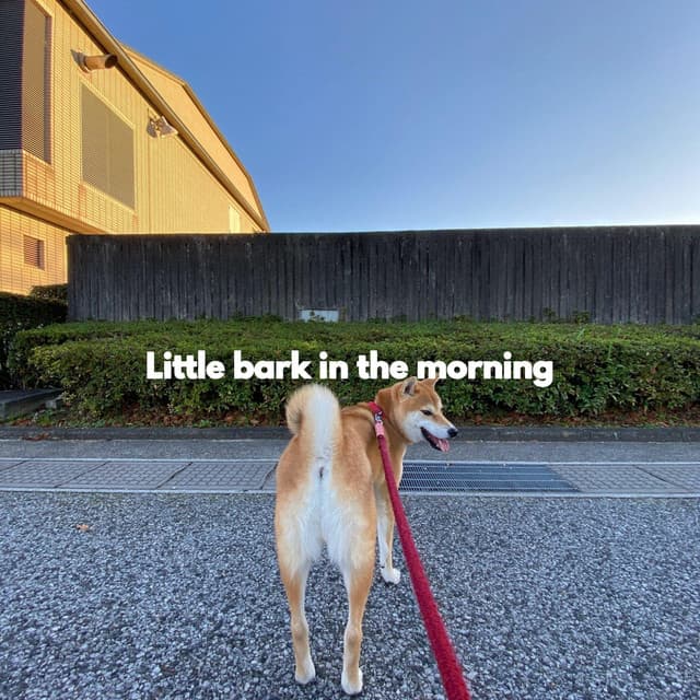Little bark in the morning - Musica para Perros