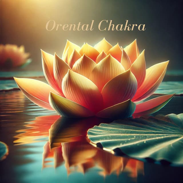 Oriental Chakra - Chakra Meditation Universe