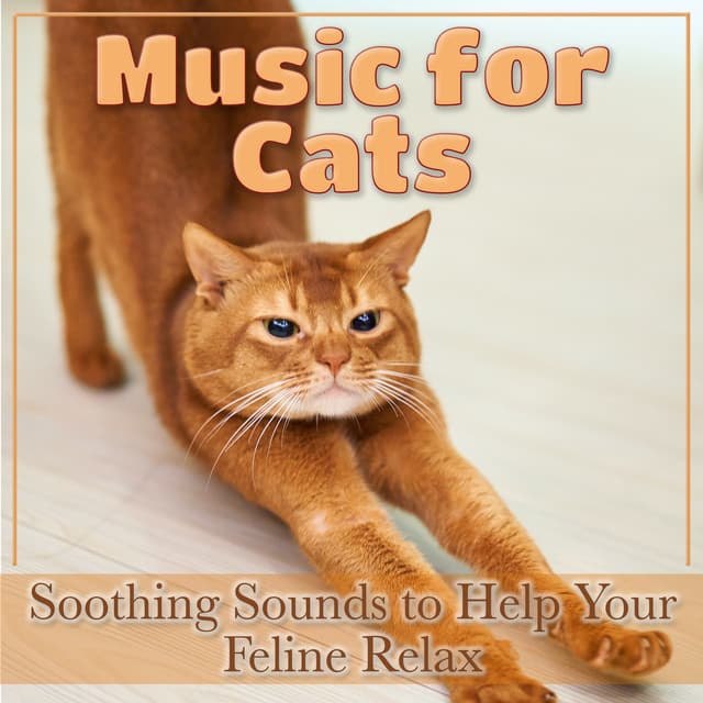 Music for Cats: Soothing Sounds to Help Your Feline Relax - RelaxMyCat