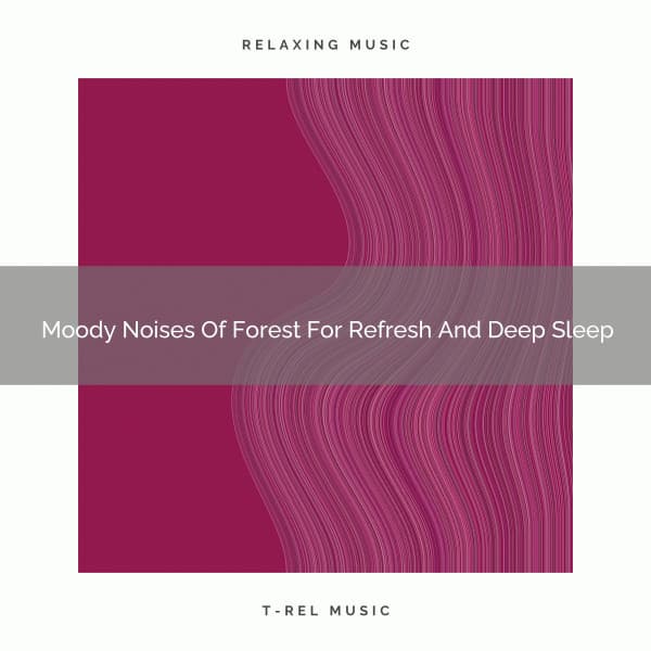 2021 New: Moody Noises Of Forest For Refresh And Deep Sleep - White Noise Meditation