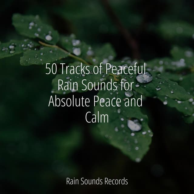 50 Tracks of Peaceful Rain Sounds for Absolute Peace and Calm - Anxiety Relief