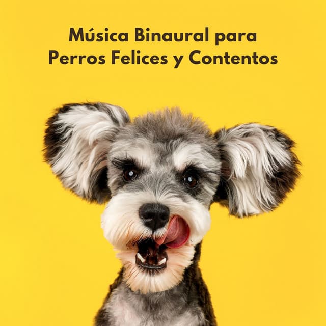 Música Binaural Para Perros Felices Y Contentos - Bestia binaural