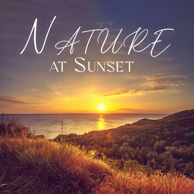 Nature at Sunset: Soothing Relaxing Melodies, Deeply Stress-Relieving Nature Sounds, Peaceful Instrumental Music For Unwinding - Nature Music Pregnancy Academy
