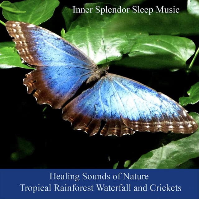Healing Sounds of Nature Tropical Rainforest Waterfall and Crickets - Inner Splendor Sleep Music