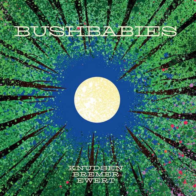 Bushbabies - Niclas Knudsen