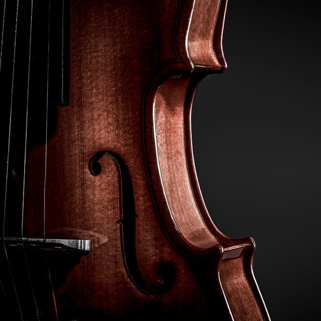 Deeply Soothing Orchestra for Baby Slumber - Charles Anderson