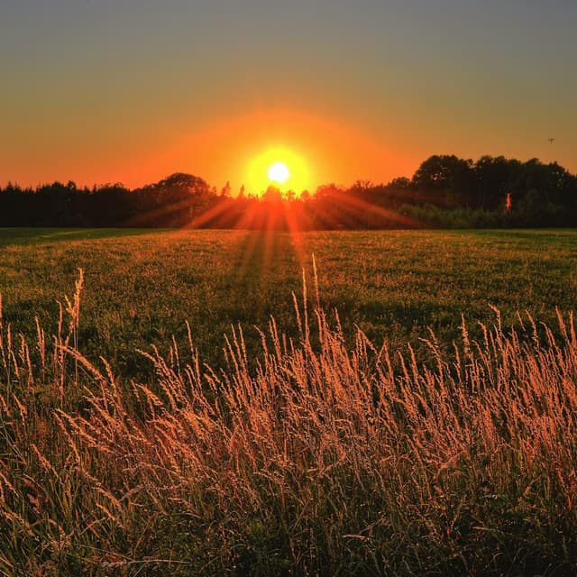 Easy Sleep White Sound - Black Noise Sleep