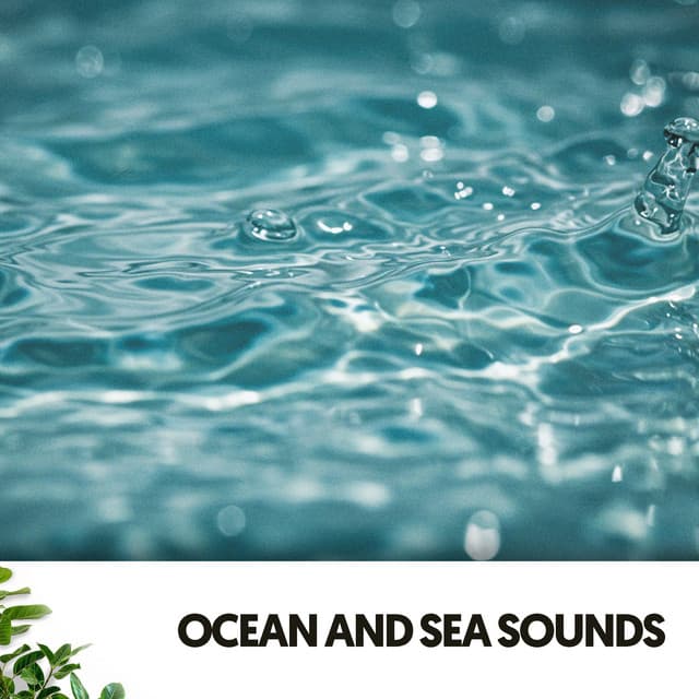 Ocean and Sea Sounds: With The Deep - Dog Relaxation