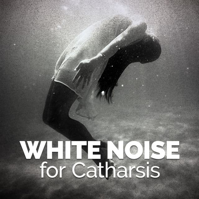 White Noise for Catharsis - White Noise 2015