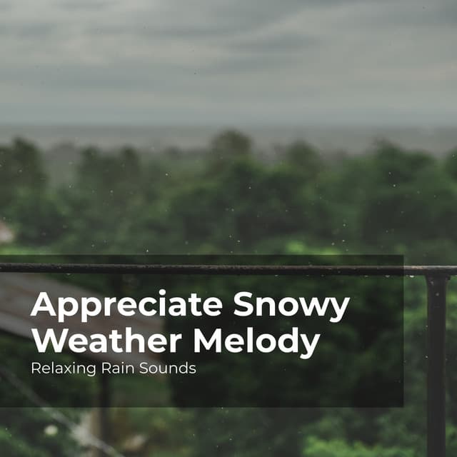 Appreciate Snowy Weather Melody - Relaxing Rain Sounds