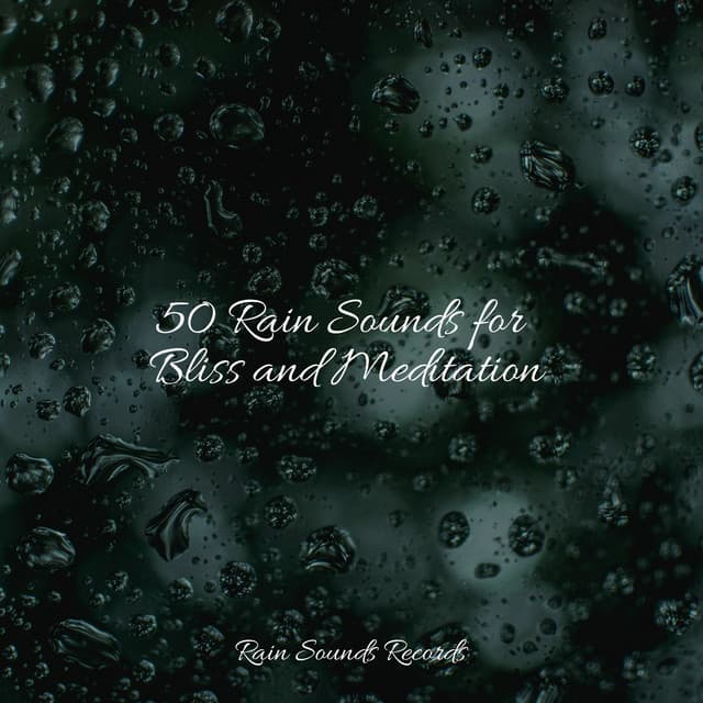 50 Rain Sounds for Bliss and Meditation - Ambiente