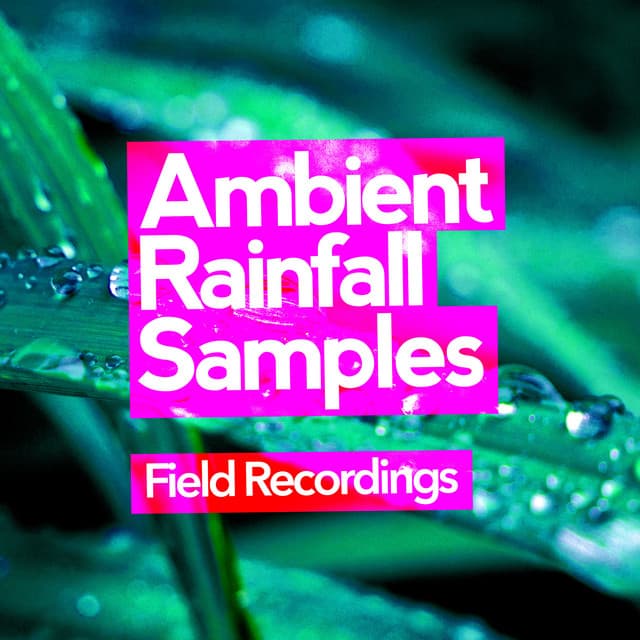 Ambient Rainfall Samples - Field Recordings