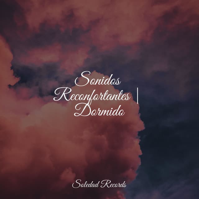 Sonidos Reconfortantes | Dormido - Sonido de lluvia