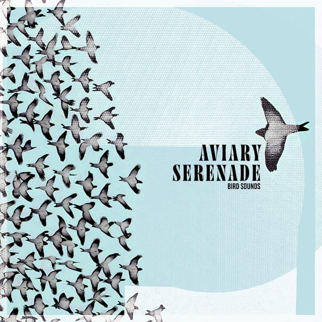Aviary Serenade - Bird Sounds