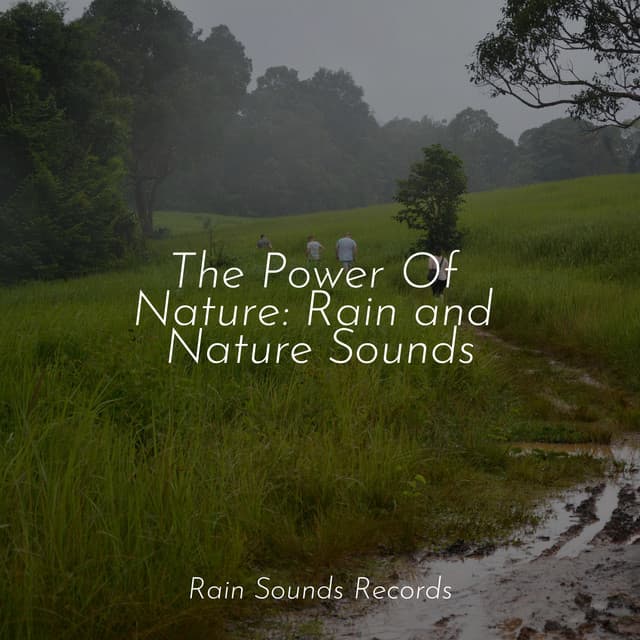 The Power Of Nature: Rain and Nature Sounds - Deep Sleep Relaxation