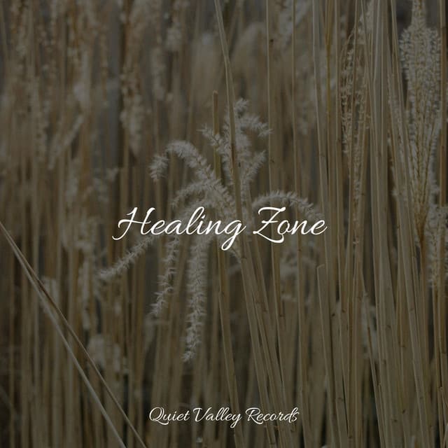 Healing Zone - Studying Music
