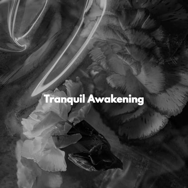 Tranquil Awakening - Musik zum Lesen