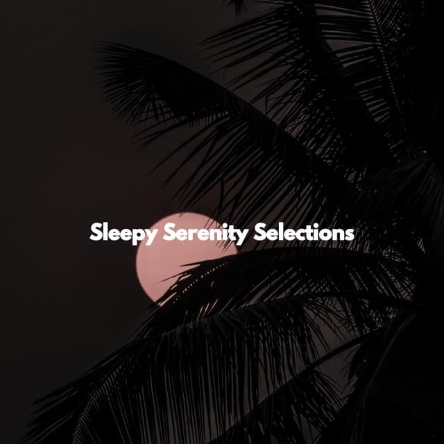 Sleepy Serenity Selections - Jazz Ambiental para Hoteles