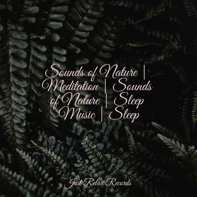 Sounds of Nature | Meditation | Sounds of Nature | Sleep Music | Sleep - Drowsy Cloud