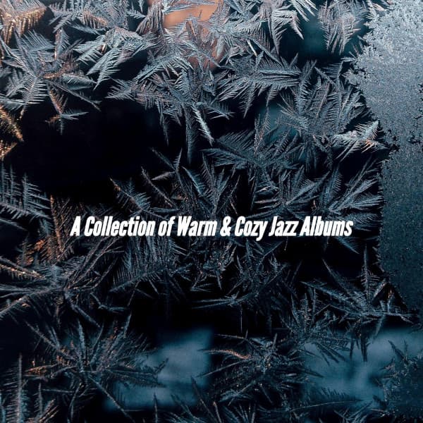 A Collection of Warm & Cozy Jazz Albums - New York Deluxe Dinner Jazz