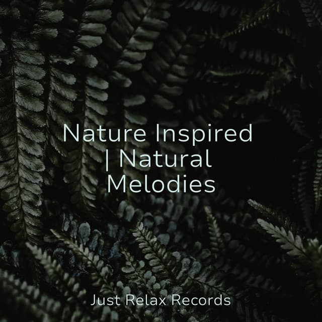 Nature Inspired | Natural Melodies - Shakuhachi Sakano