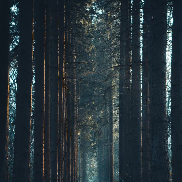 Fall Asleep Brown Cool Noise - Sleepy Sounds