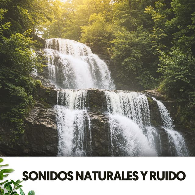 Sonidos Naturales y Ruido: Serenatas Naturales - Relajacion