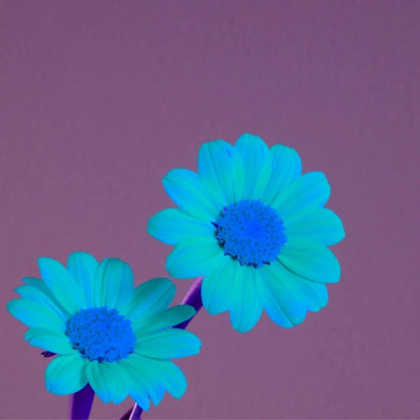 Outstanding Trio Jazz - Background for Supportive Hours - Chill Jazz