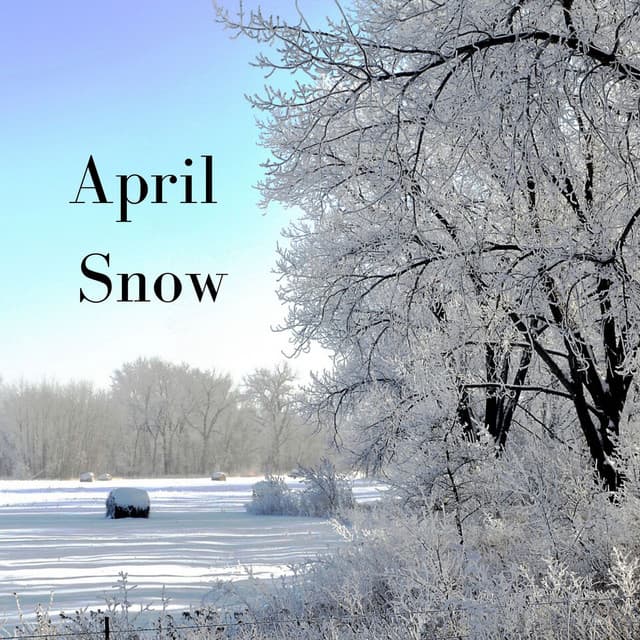 April Snow - Deep Rain Sampling