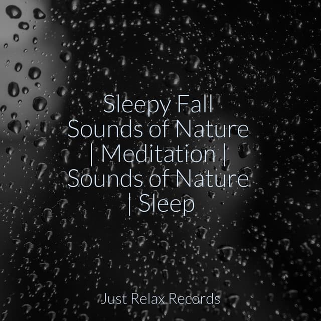 Sleepy Fall Sounds of Nature | Meditation | Sounds of Nature | Sleep - ASMR HD