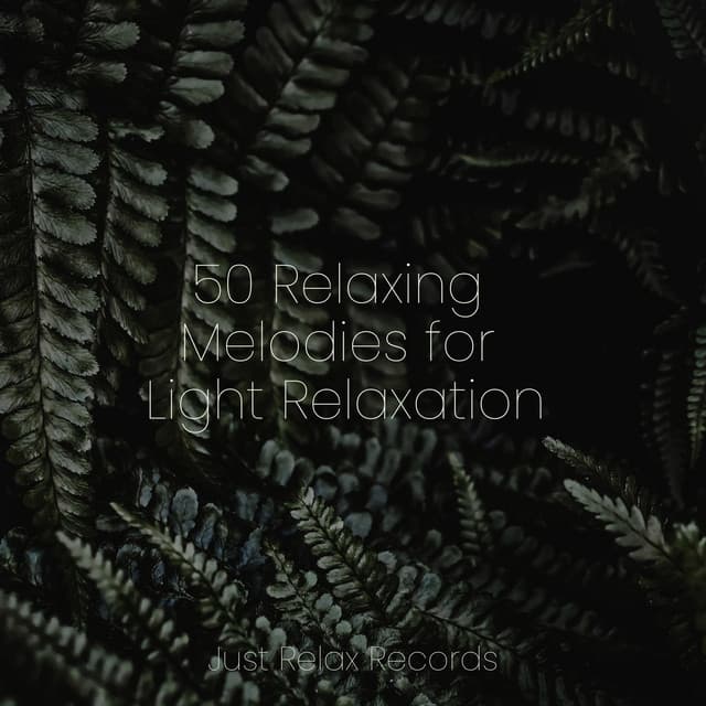 50 Relaxing Melodies for Light Relaxation - Baby Lullaby