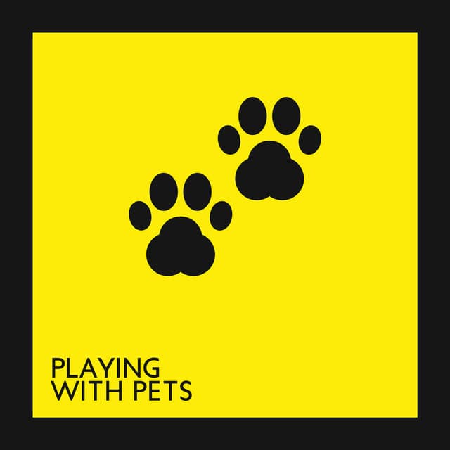 Playing with Pets - Time Together and Intensive Relax - Pet Love Academy