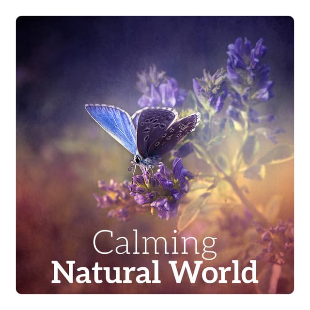 Calming Natural World – Calmness, Restful Break, Relaxing Time, Serene Moments, Happiness & Stress Relief - Feeling Good Club