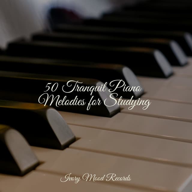 50 Tranquil Piano Melodies for Studying - Sleepy Night Music