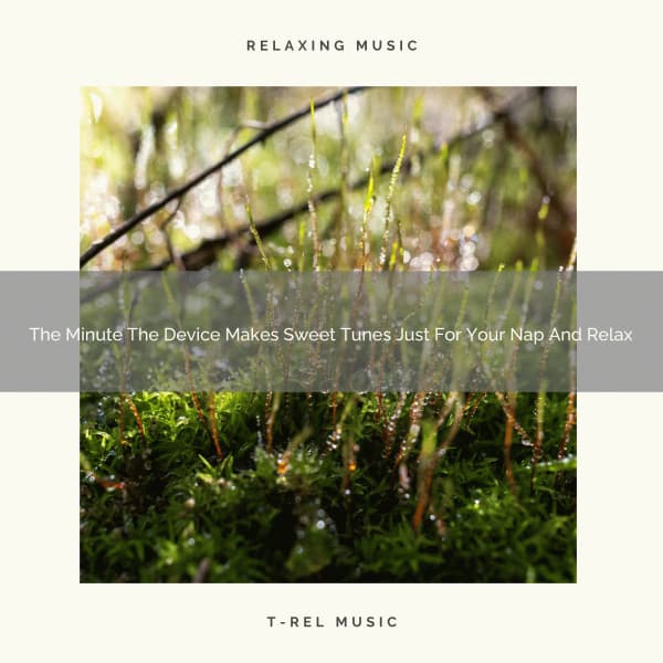 The Minute The Device Makes Sweet Tunes Just For Your Nap And Relax - White Noise for Deeper Sleep