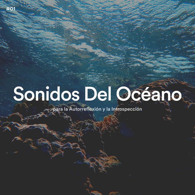 #01 Sonidos Del Océano para la Autorreflexión y la Introspección - Olas del Mar