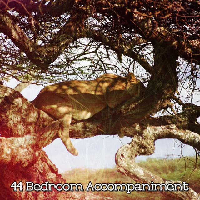 44 Bedroom Accompaniment - Mantra para Dormir