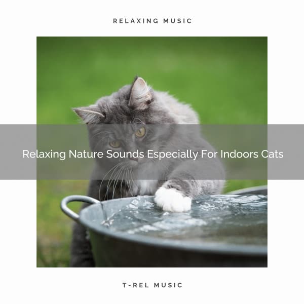 Relaxing Nature Sounds Especially For Indoors Cats - Cat Total Relax